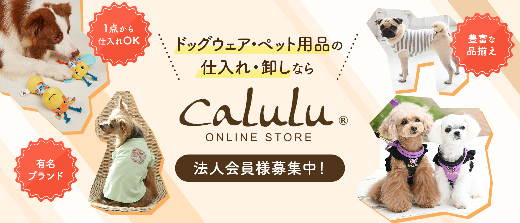 有名ファッションブランドの犬服・ドッグウェアなどペット用品の仕入れ・卸しなら「Calulu オンラインストア」