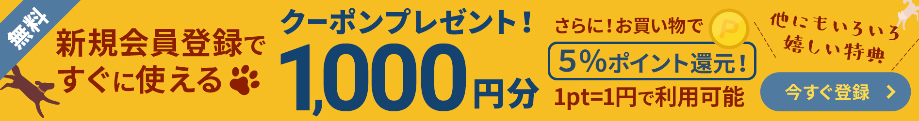 新規会員登録でクーポンゲット！登録後すぐに使える