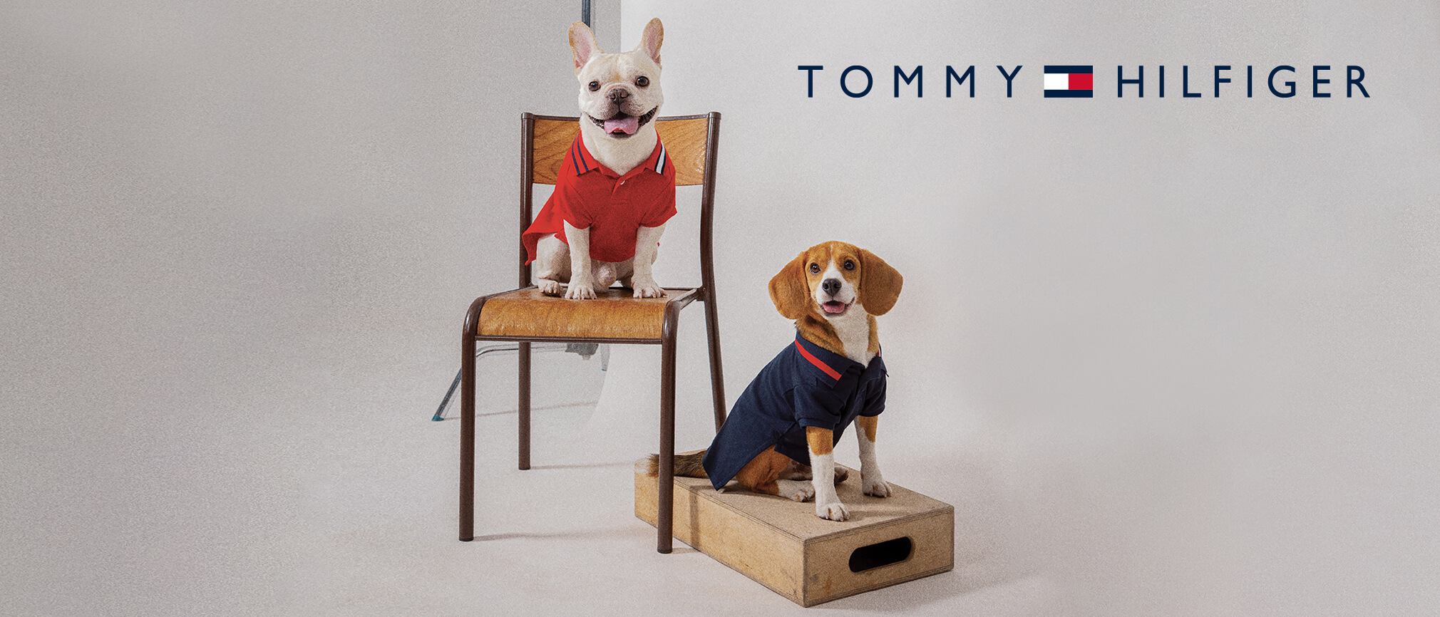 TOMMY HILFIGER（トミーヒルフィガー）