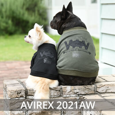 2021 Autmn&Winter AVIREX