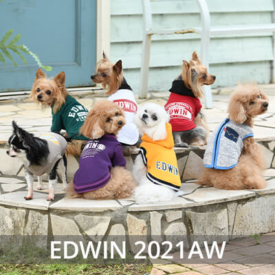 2021 Autmn&Winter EDWIN