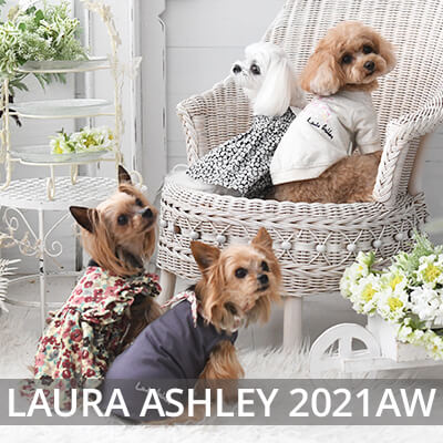 2021 Autmn&Winter LAURAASHLEY