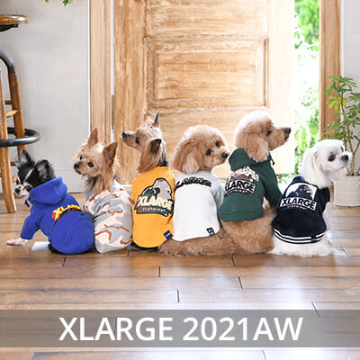 2021 Autmn&Winter XLARGE