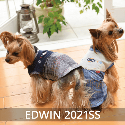 2020 Spring&Summer EDWIN