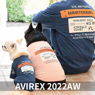 2022 Autumn&Winter AVIREX