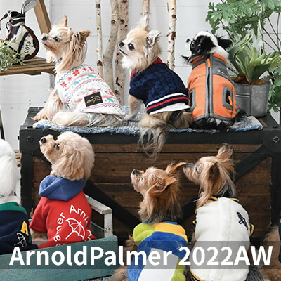 2022 Autumn&Winter ArnoldPalmer