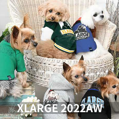 2022 Autumn&Winter XLARGE