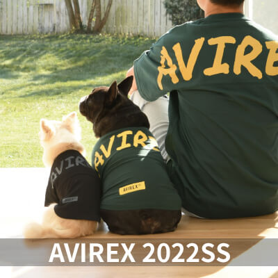 2022 Spring&Summer AVIREX
