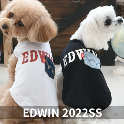 2022 Spring&Summer EDWIN