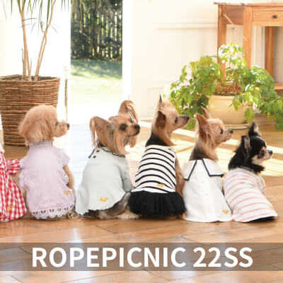 2022 Spring&Summer ROPEPICNIC