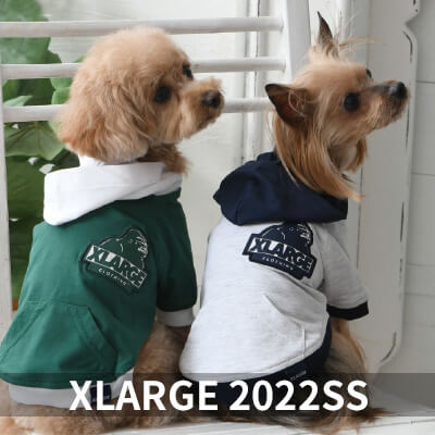 2022 Spring&Summer XLARGE