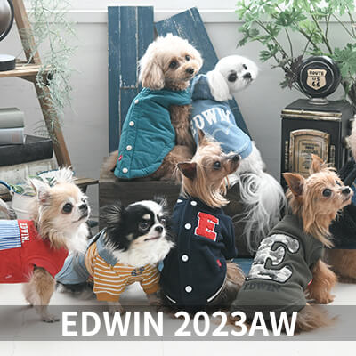 2022 Autumn&Winter EDWIN