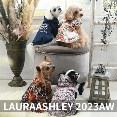 2022 Autumn&Winter LAURAASHLEY