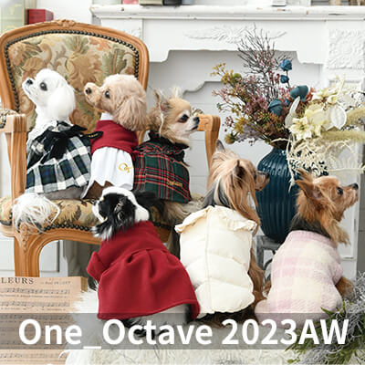 2023 Autumn&Winter OCTAVE