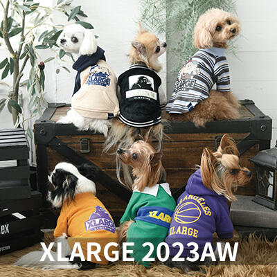 2022 Autumn&Winter XLARGE