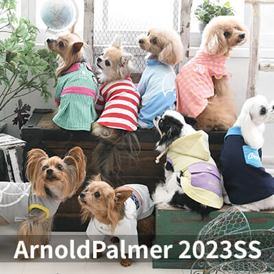 2023 Spring&Summer ArnoldPalmer