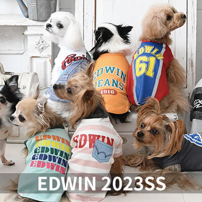 2023 Spring&Summer EDWIN