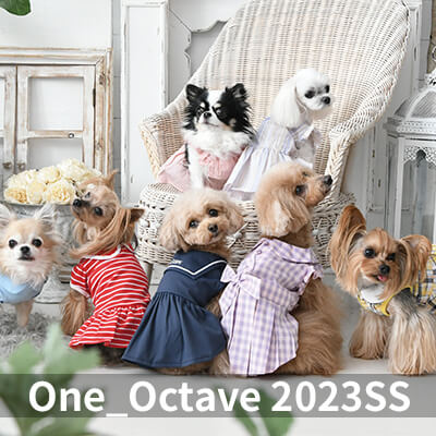 2023 Spring&Summer OCTAVE