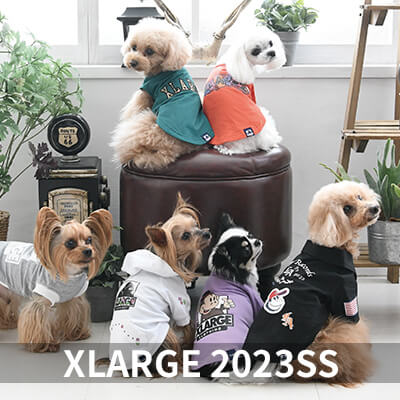 2023 Spring&Summer XLARGE