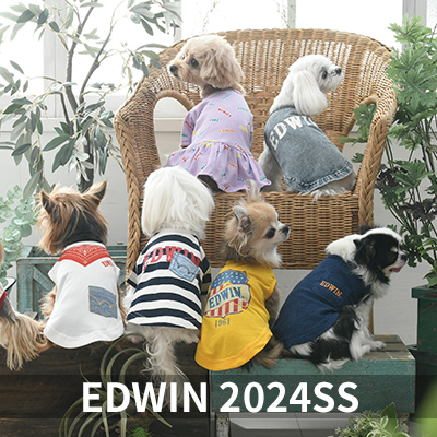 2024 Spring&Summer EDWIN