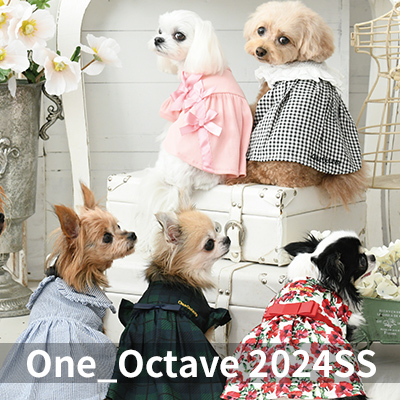 2024 Spring&Summer OCTAVE