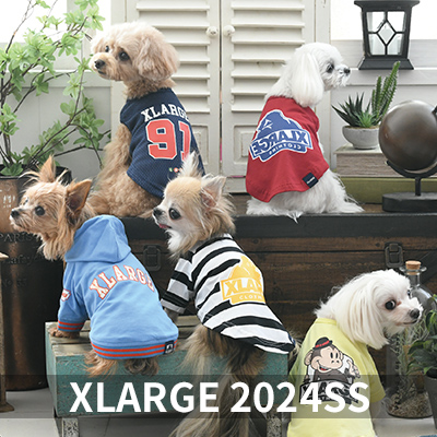 2024 Spring&Summer XLARGE