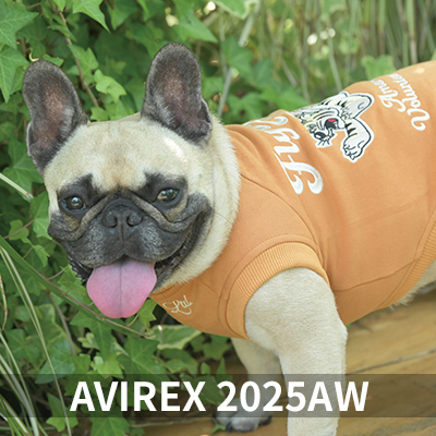  Autumn&Winter AVIREX
