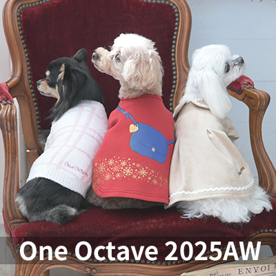  Autumn&Winter OCTAVE