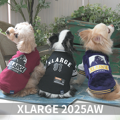  Autumn&Winter XLARGE