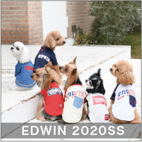 2020 Spring&Summer EDWIN