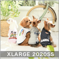 2020 Spring&Summer XLARGE