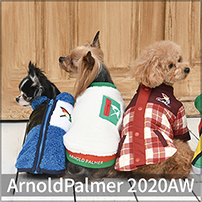 2020 Spring&Summer ArnoldPalmer