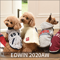 2020 Spring&Summer EDWIN