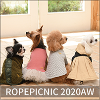 2020 Spring&Summer Rope Picnic