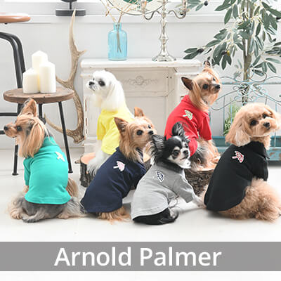 定番ドッグシャツ Arnold Palmer