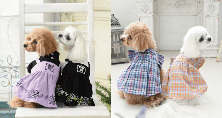 犬服の選び方 愛犬に服を着せるメリットは 暑さや寒さ対策 防虫 ケガ予防 マナーとしてもおすすめ