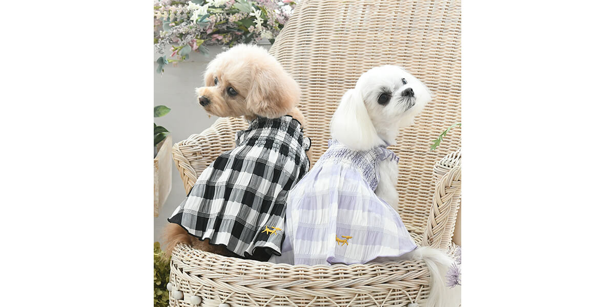 AVIREXのバーシティフリースフーディを着た犬たち