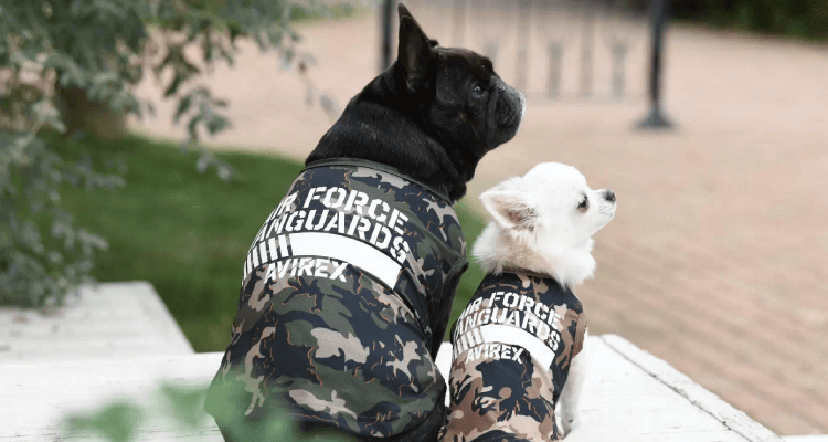 犬服の選び方 愛犬に服を着せるメリットは 暑さや寒さ対策 防虫 ケガ予防 マナーとしてもおすすめ