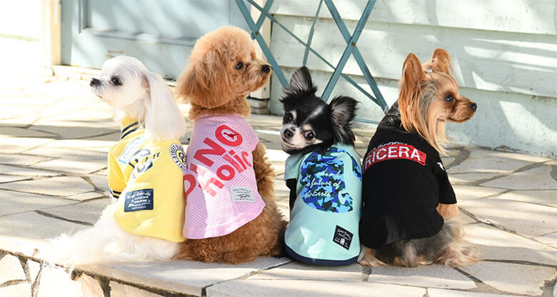愛犬のボディサイズと犬服サイズの選び方とポイント