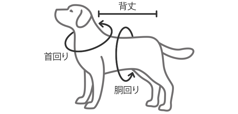 愛犬のボディサイズの測り方