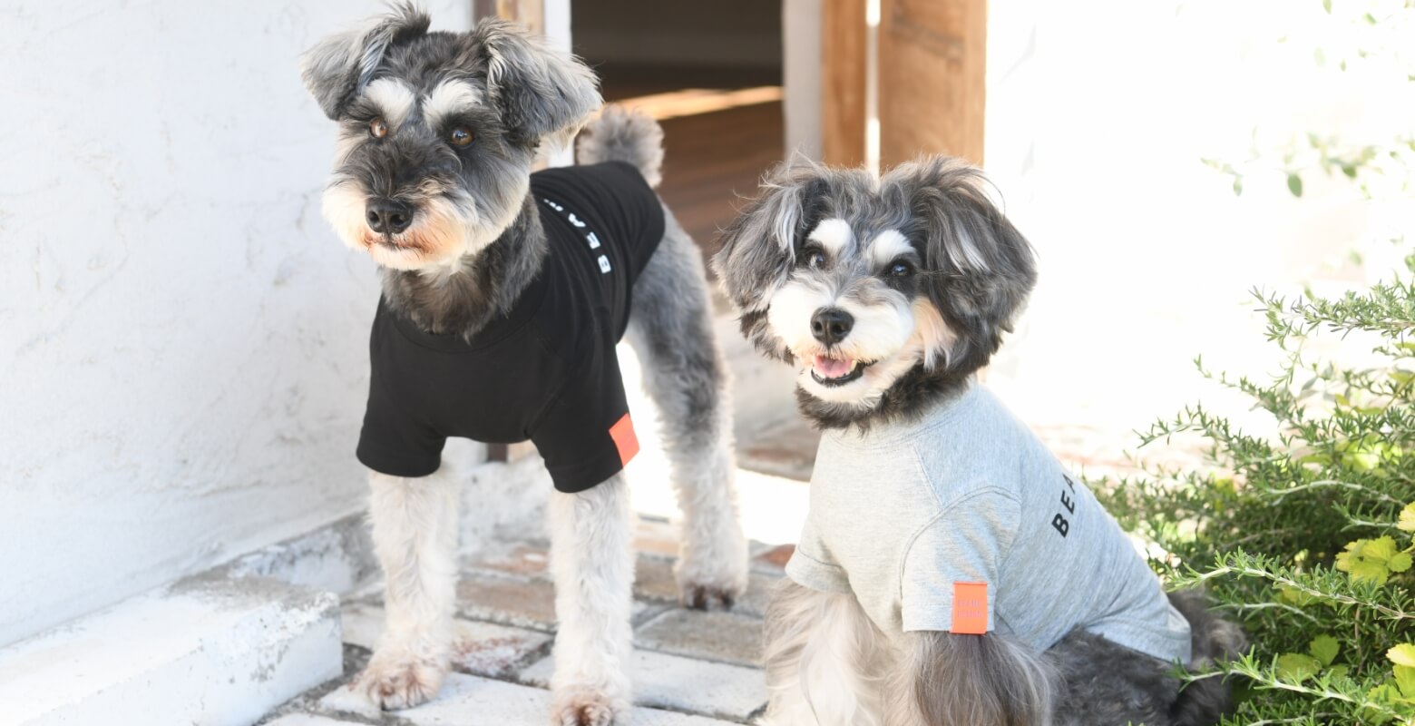 大型犬と中型犬の犬服も豊富に取り揃え