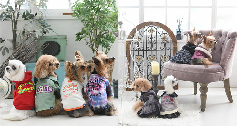 BEAMSやANNA SUI等の有名アパレルファッションブランドの犬服