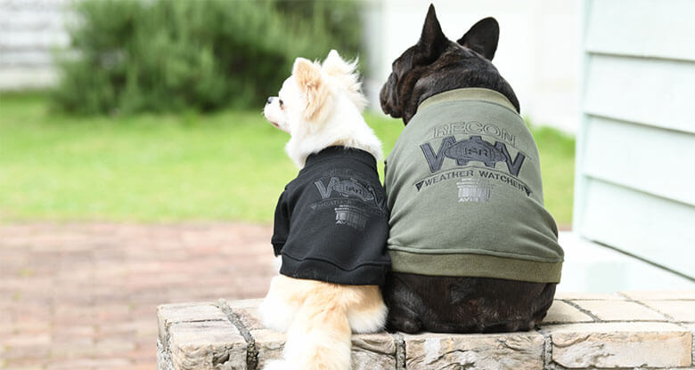 フレンチブルドックやダックスフンドの犬服も取り扱ってます