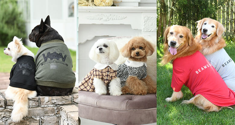 ペット ARNOLD PALMER 犬服 ドッグウェア アーノルドパーマー ギンガムチェックプルオーバー