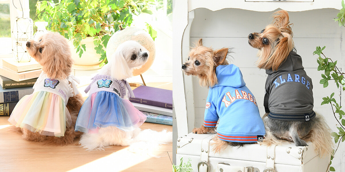 犬服選びのお悩み1位はサイズ！通販サイトで愛犬にぴったりのおしゃれな犬服を選ぶコツとは！？