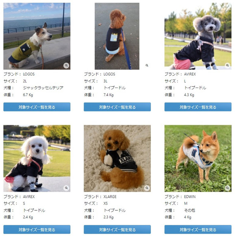 愛犬にぴったりのおしゃれな犬服を探せる あなたの愛犬が公式snsに登場するかも