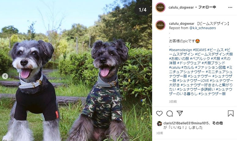 素敵な写真を投稿して公式instagramで紹介してもらおう