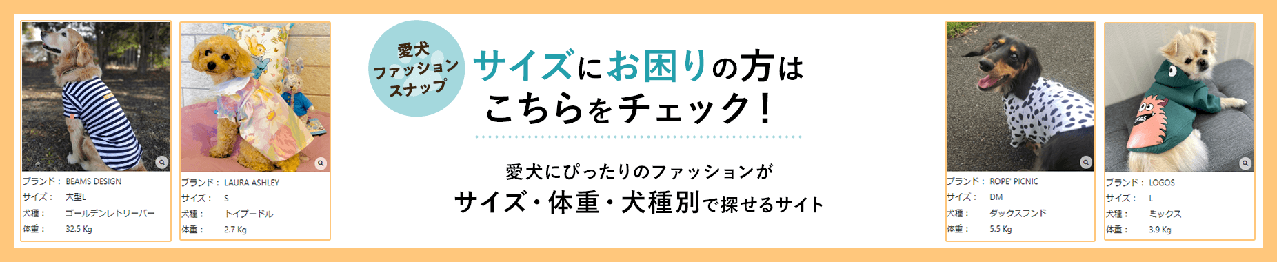 ファッションスナップへのリンクバナー