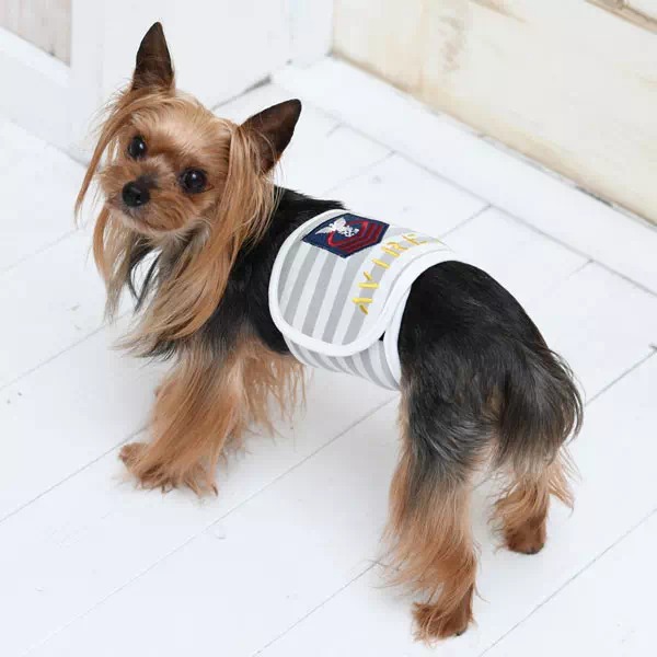 毎日愛犬の世話をする エサ管理