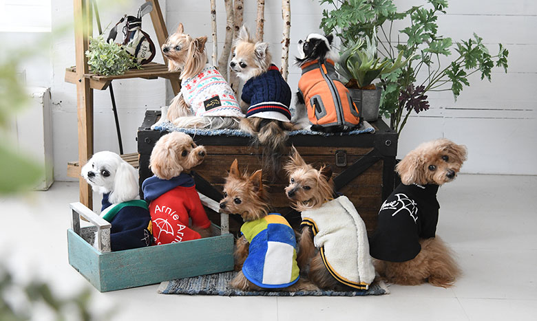 ArnoldPalmerの服を着た犬たち